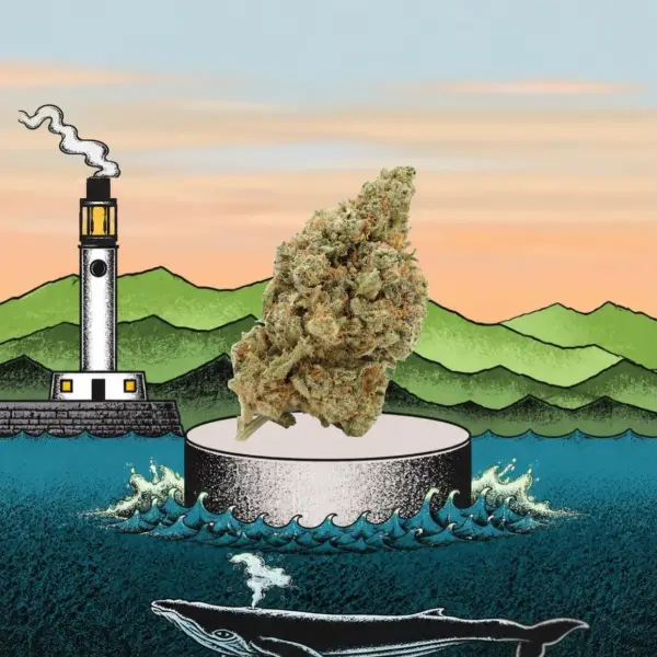 Fleur - CBD - Hydro - Amnesia Haze