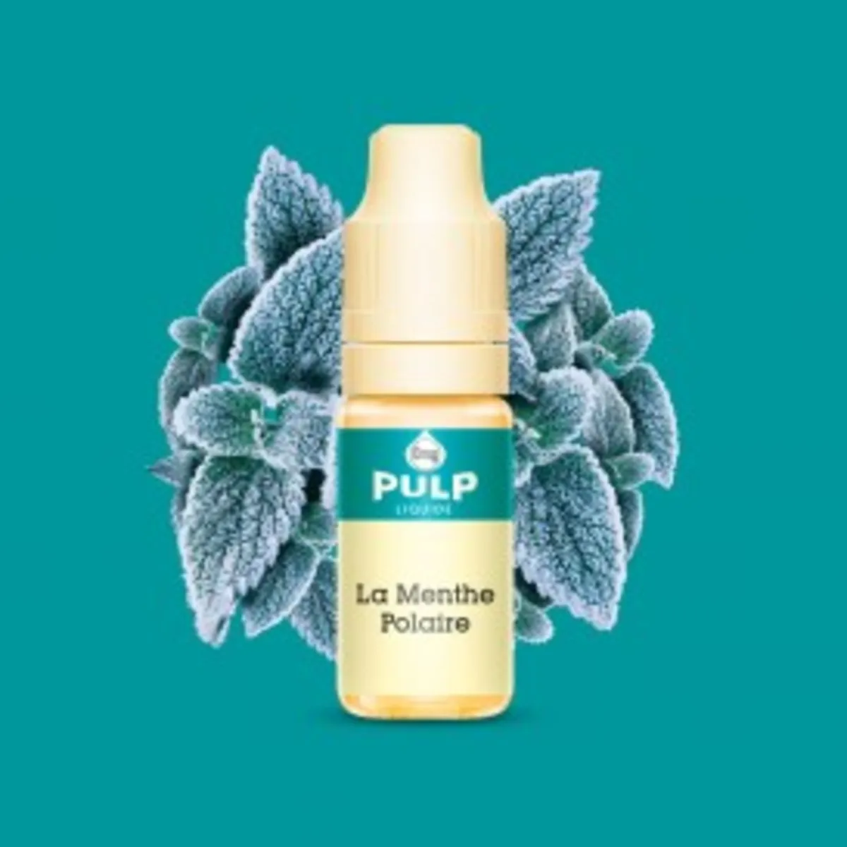 Pulp - Menthe Polaire - 10ml